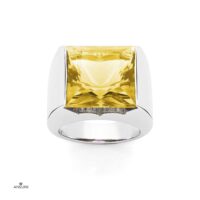 Princess Ring - Image 9
