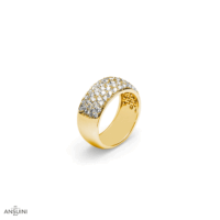 Anello Aral