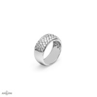 Anello Aral - immagine 2