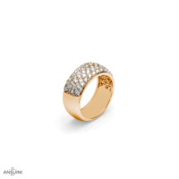 Anello Aral - immagine 3