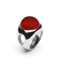 Anello Mondo - immagine 10