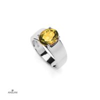 Anello Tevere Grande - immagine 10