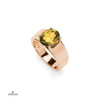 Anello Tevere Grande - immagine 14